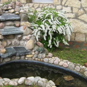 графская3